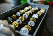 start investing grow wealth