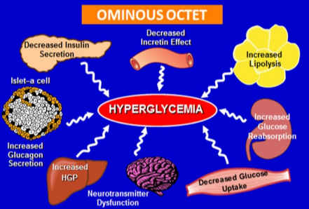 Why Is Our Understanding of Diabetes So Incomplete?