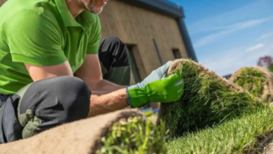 Lawn Care in Mi: Expert Seasonal Tips for a Healthier Yard