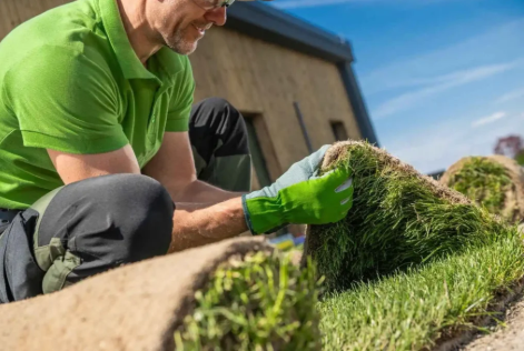 Lawn Care in Mi: Expert Seasonal Tips for a Healthier Yard
