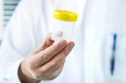 Drug Test for Compliance, Safety, and Health Programs