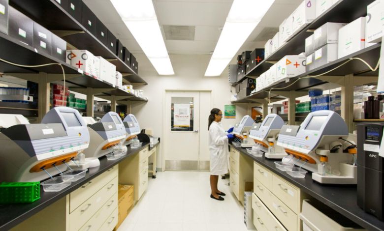 How Clinics Are Filling Doctor Gaps Without Disrupting Patient Care