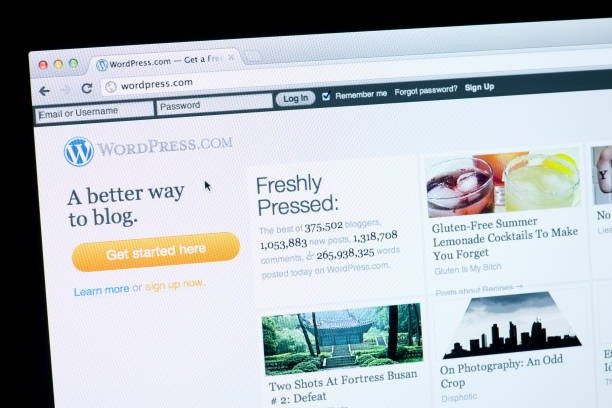 Media Intelligence Explained: How WordPress Powers Smart Data Insights
