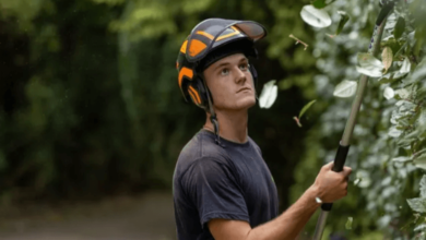 Signs You Need a Tree Health Surgeon Before a Small Problem Gets Expensive