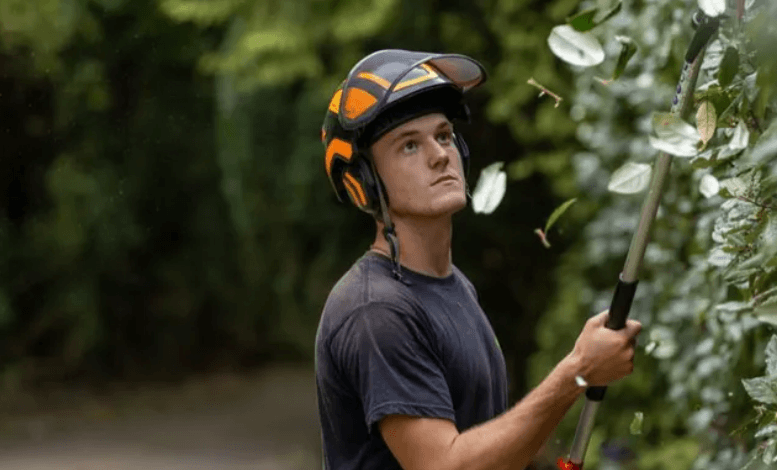 Signs You Need a Tree Health Surgeon Before a Small Problem Gets Expensive