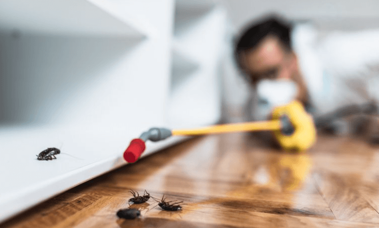 What Pests Notice About Your Davenport Home That You Don't