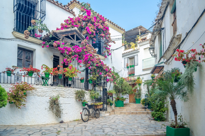 Navigating the Housing Market: How to Find High-Value Homes for Sale in Estepona