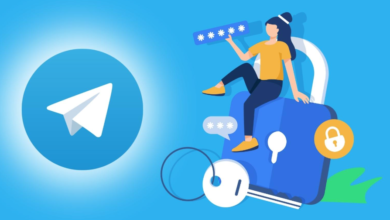 An Overview of Telegram's Security and Privacy Features