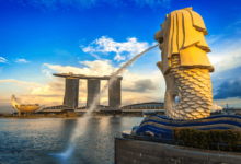 What Is A Company Secretary In Singapore? A Complete Guide for Business Owners 