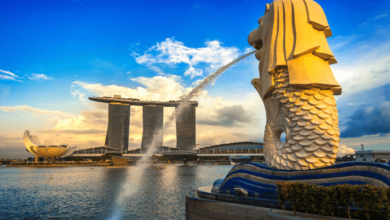 What Is A Company Secretary In Singapore? A Complete Guide for Business Owners 