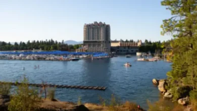 Remote Depositions in Coeur d’Alene Made Practical by NAEGELI Deposition & Trial