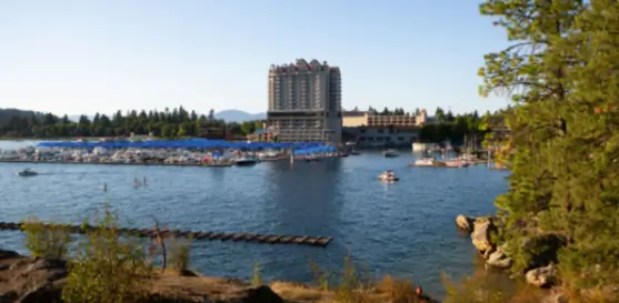 Remote Depositions in Coeur d’Alene Made Practical by NAEGELI Deposition & Trial