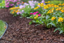 Which Dark Mulch Still Looks Good In Listing Photos