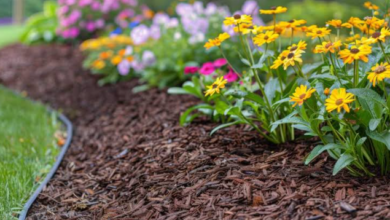 Which Dark Mulch Still Looks Good In Listing Photos