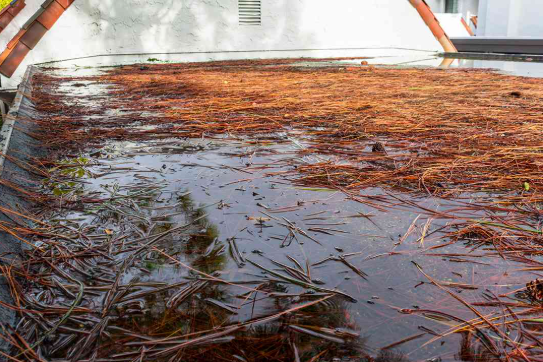Standing Water Is Not A Feature Of A Flat Roof